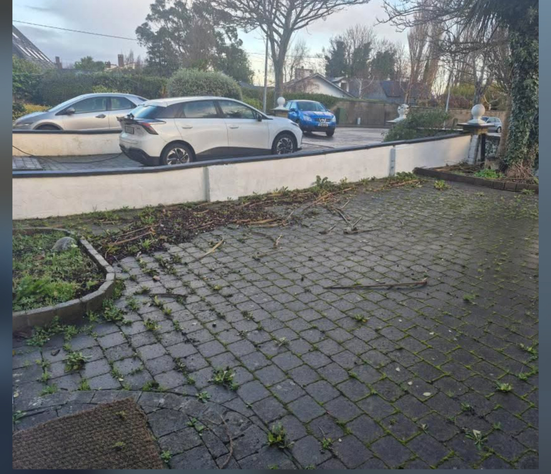 Driveway & Border Tidy-up after