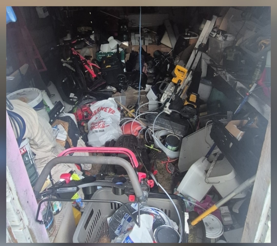 Shed Clear-out & Reset before